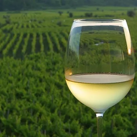 Apartament Lily-close To The