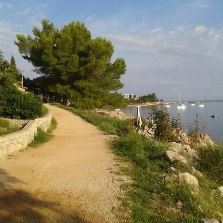 Lily-close To The * Vantacici